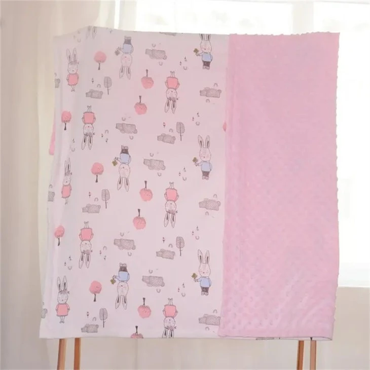 China Fabric Printed Minky Fabric For Baby Blanket