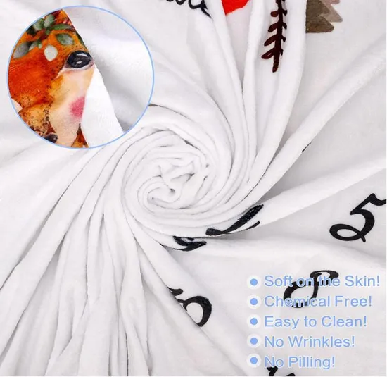 Milestone Baby Blanket