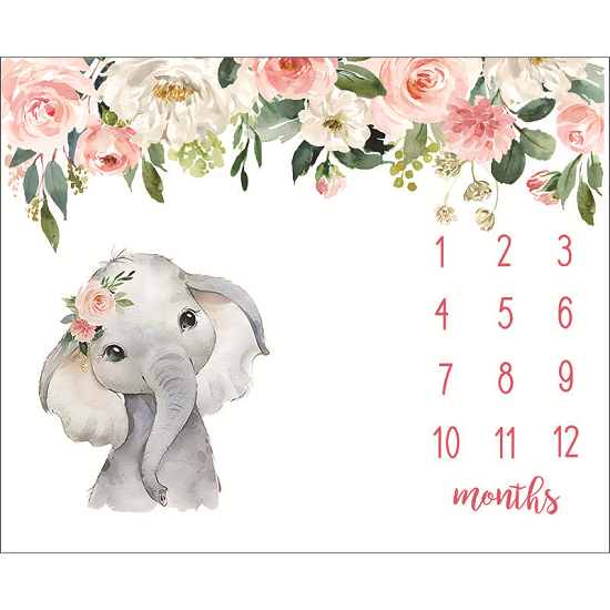 Milestone Blanket For Baby