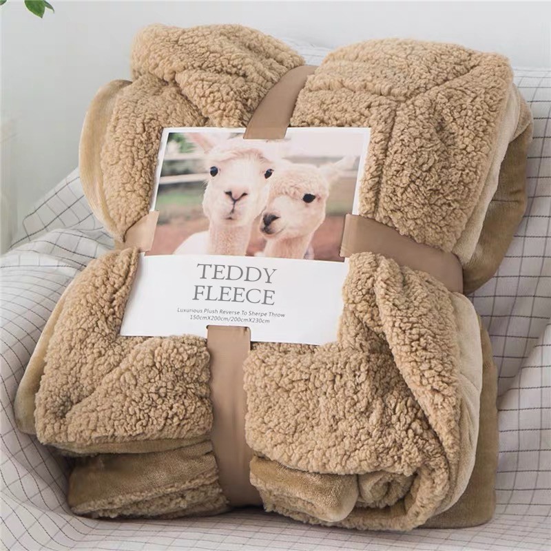 Teddy